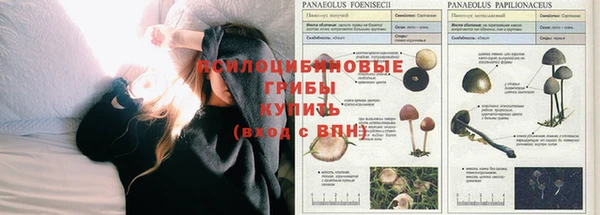 первитин Алексин