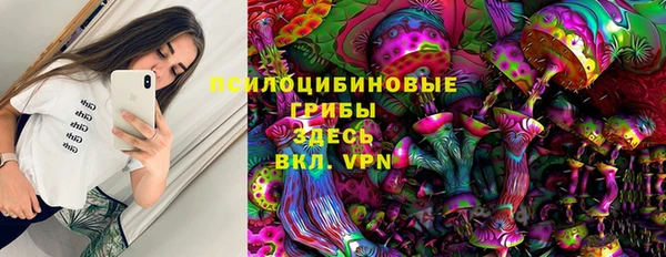 первитин Алексин