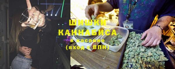 крисы Алзамай