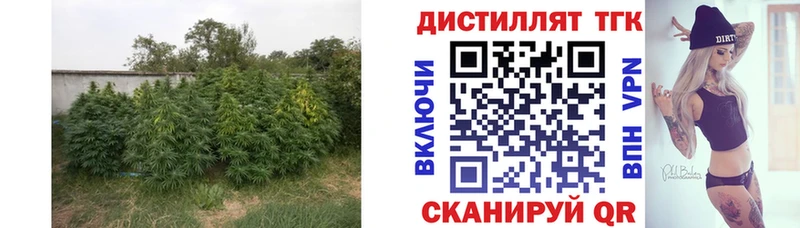 Дистиллят ТГК вейп Тайшет