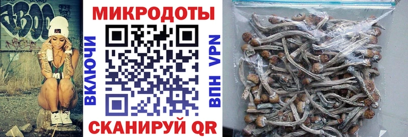 Галлюциногенные грибы мицелий сколько стоит Тайшет